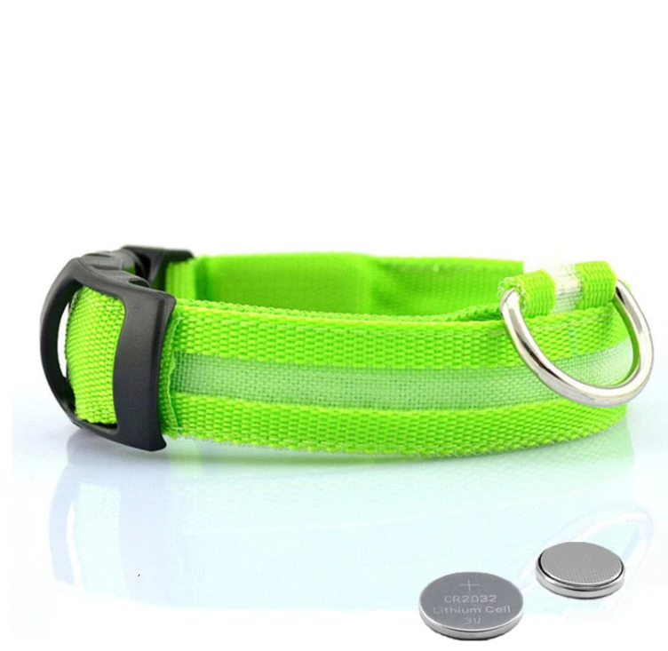 Dog Collar With Led Lights