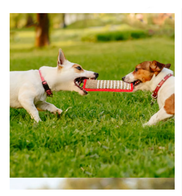 Bite Sausage For Dogs - Robust Jute Training Toy With Handles For Puppies Adult Dogs
