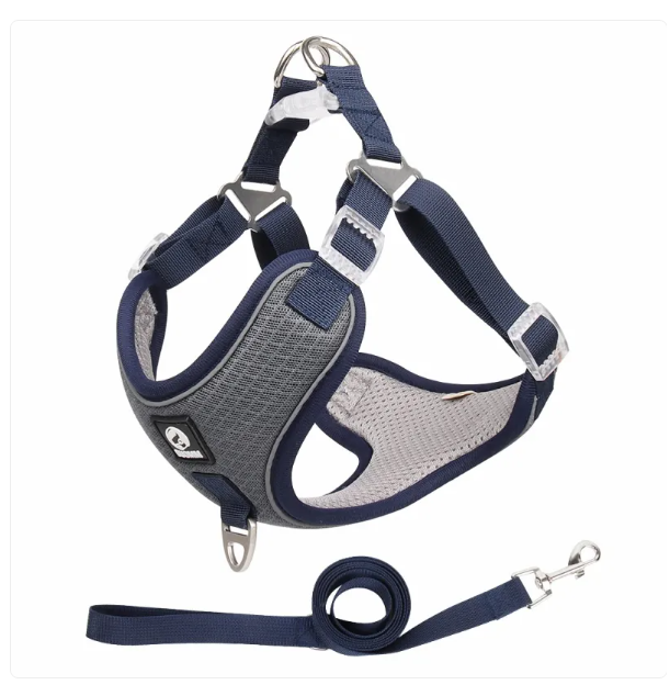 Breathable Dog Harness With Lead - Adjustable For Comfort