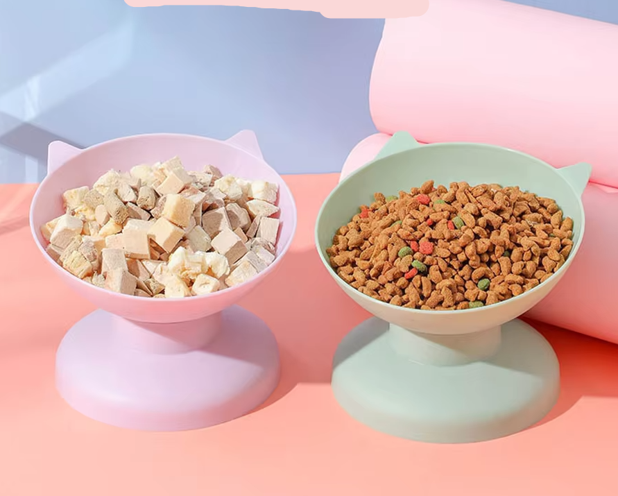 Cat Bowl With 15-degree Incline To Protect The Cervical Spine