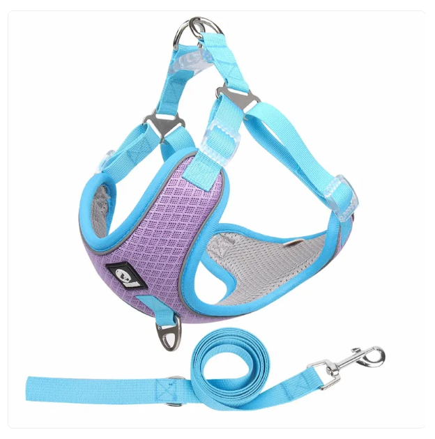 Breathable Dog Harness With Lead - Adjustable For Comfort