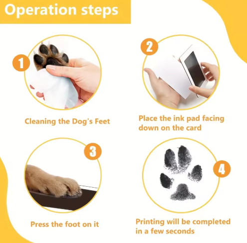 Paw Print Kit