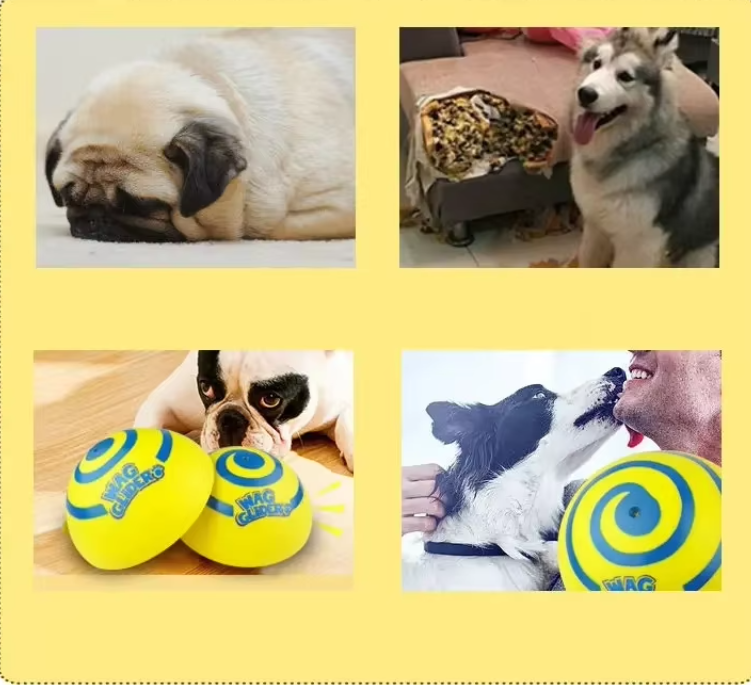 Interactive Dog Toy - Spiral - Shaped Rotating Play Mat for Mental Stimulation