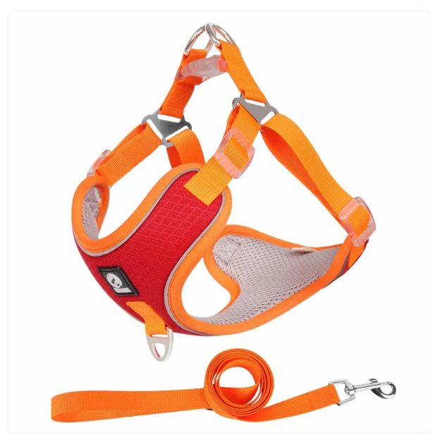Breathable Dog Harness With Lead - Adjustable For Comfort