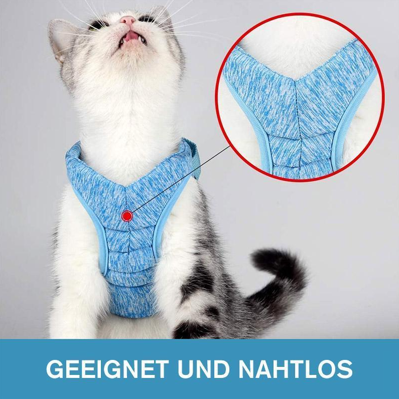Cat Harness With Lead