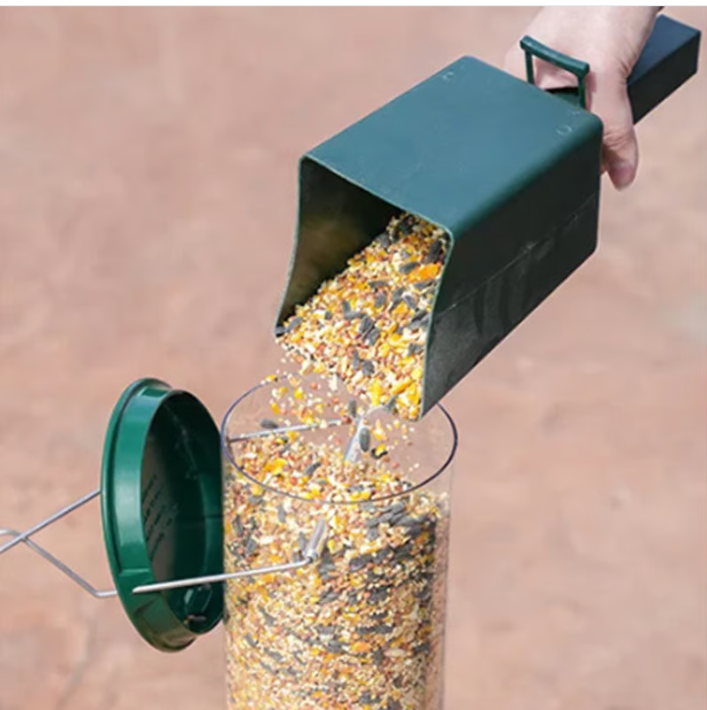 Squirrel - Proof Bird Feeder