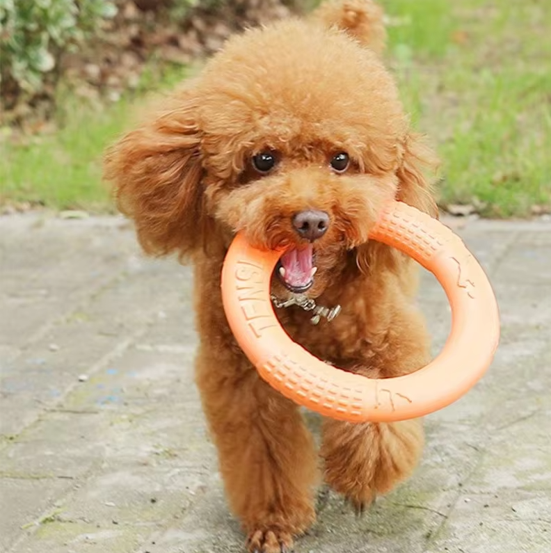 Robust Throwing And Teething Ring - Interactive Dog Toy For Active Playtime Fun