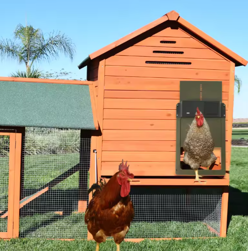 Automatic Door System For The Chicken Coop