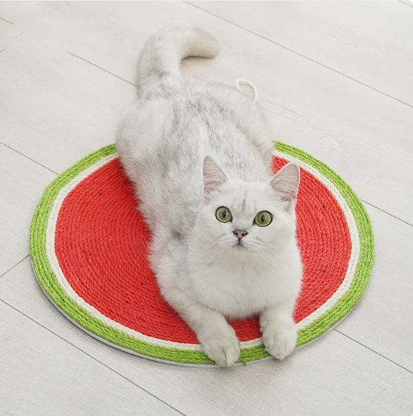 Cat Scratching Mat In Fruit Shape - Watermelon And Carrot Design