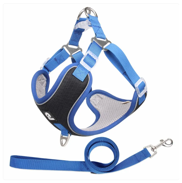 Breathable Dog Harness With Lead - Adjustable For Comfort