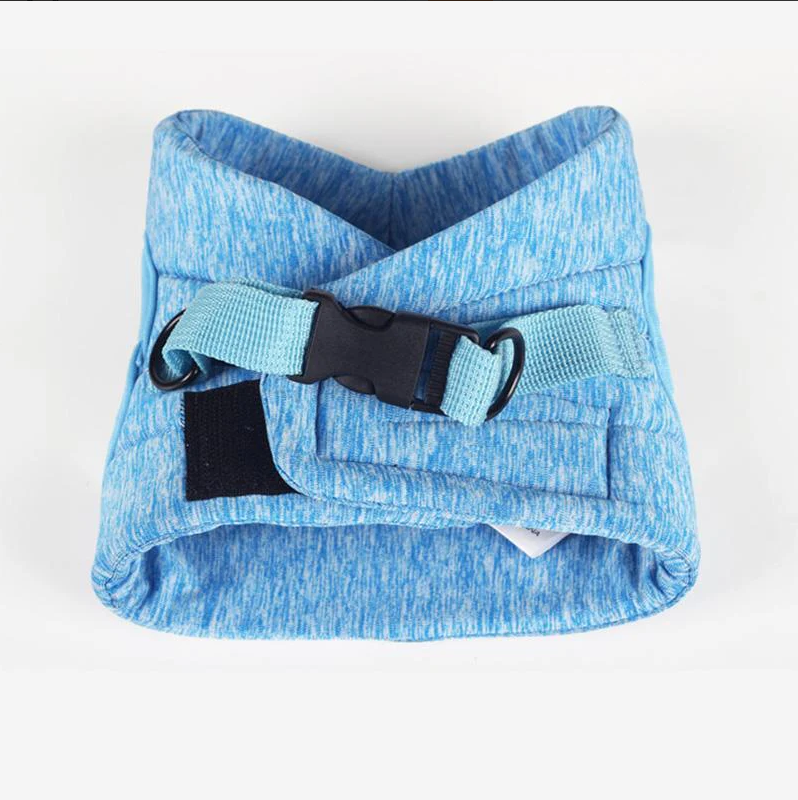 Cat Harness With Lead