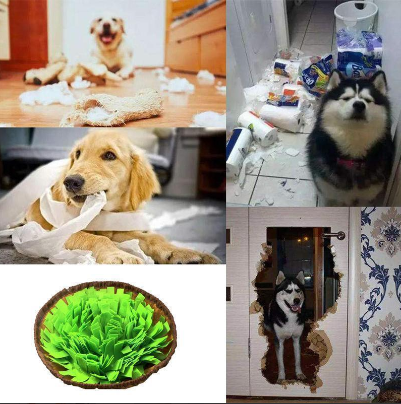 Sniffer Mat For Dogs - Promotes Natural Foraging Skills