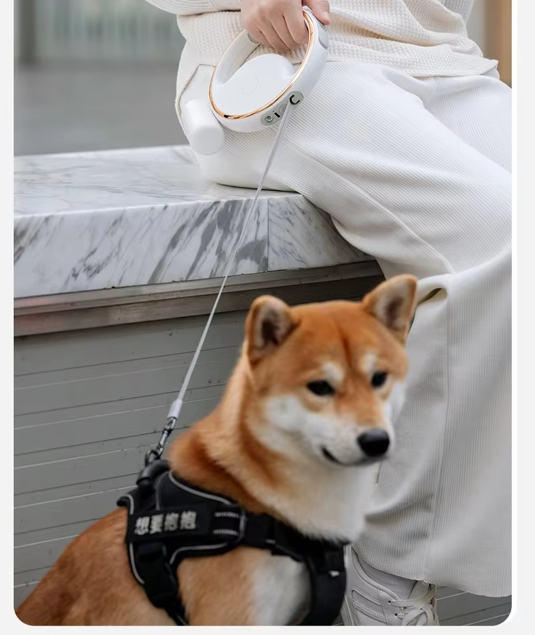 Dog Leash With Led Light And Retractable Mechanism For Safe Walking