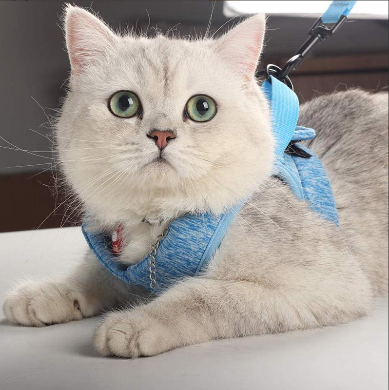 Cat Harness With Lead