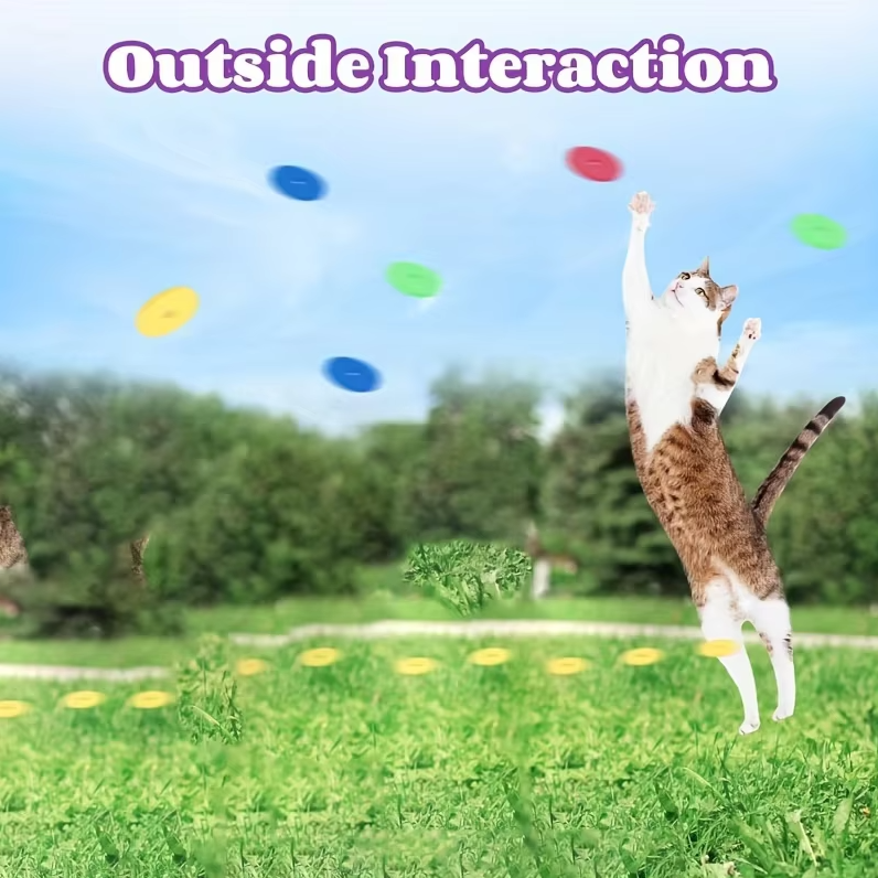 Throwing Disc Gun - Interactive Cat Toy