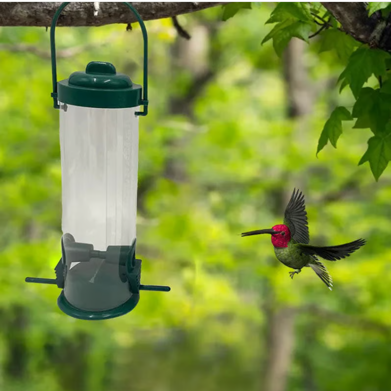 Squirrel - Proof Bird Feeder