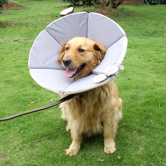 Soft Dog Collar With Comfort - Protective Collar For Dogs After Operations In Yellow And Brown