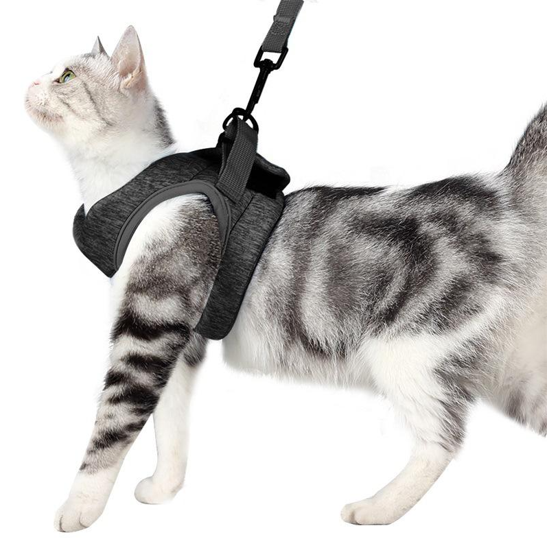Cat Harness With Lead