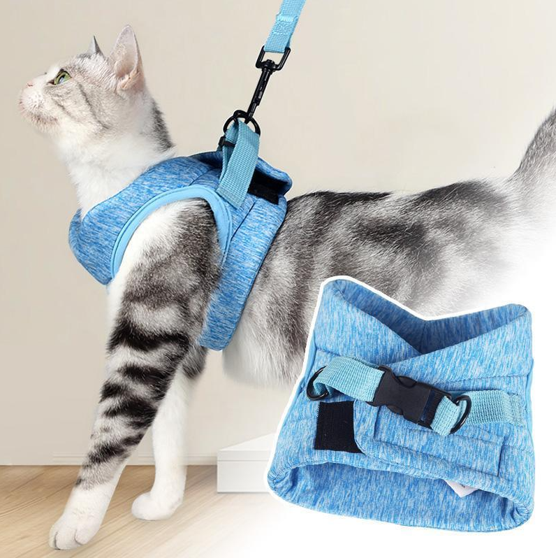 Cat Harness With Lead