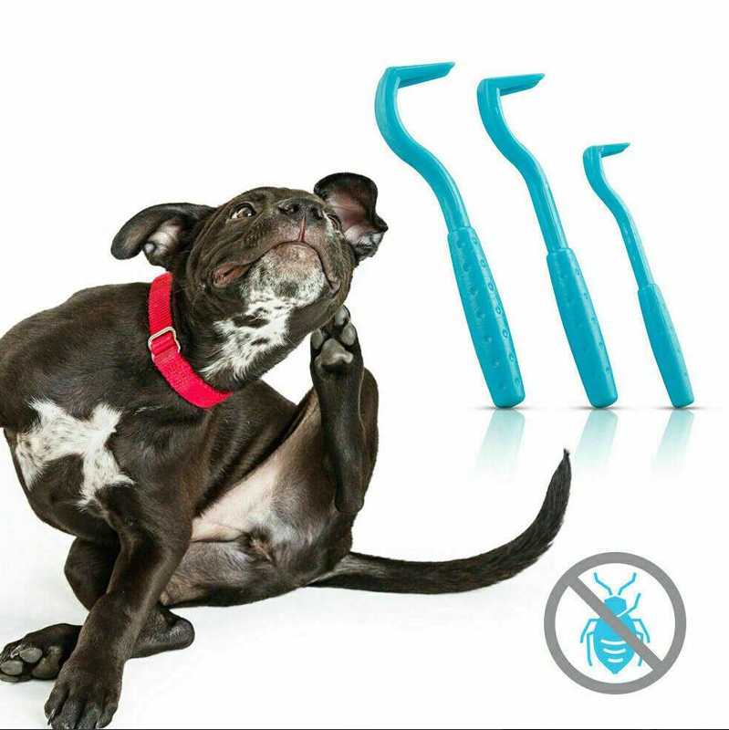 Pet Tick Hook Set ( 3 Pieces )