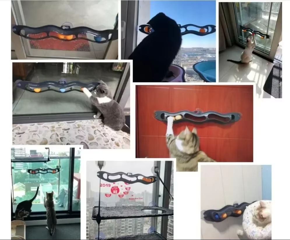 Window Ball Track - Exciting Cat Toy