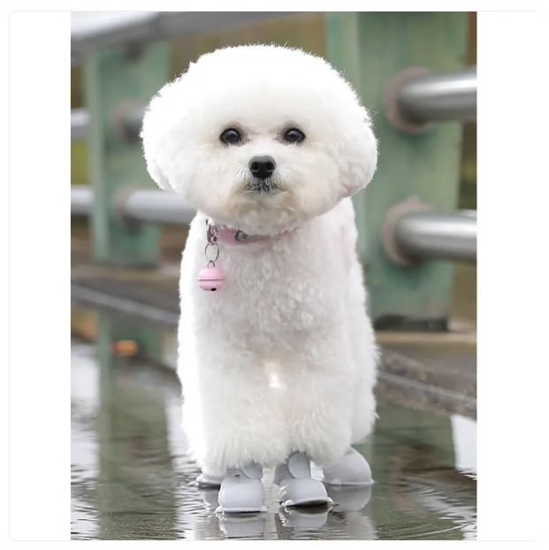 Waterproof Silicone Foot Massage Brush For At Home And On The Go