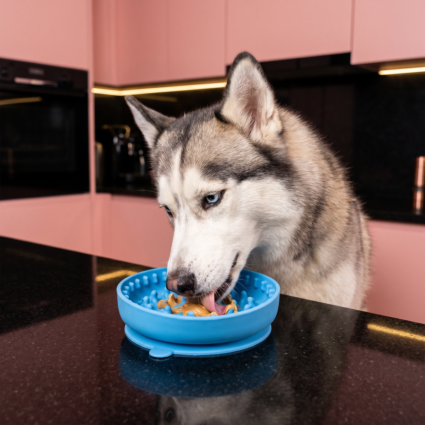 Slow Feeder Bowl for Dogs – Food-Grade Silicone Lick Mat with Suction Cups