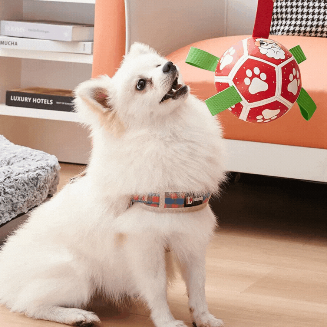 Interactive Ball - Shaped Dog Toy - with Nylon Rope and Handles