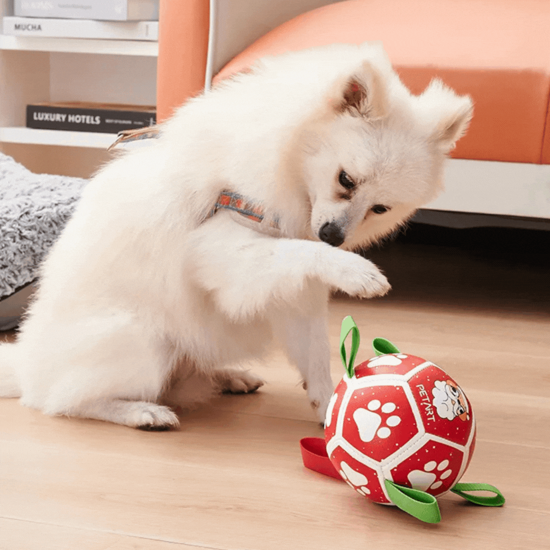 Interactive Ball - Shaped Dog Toy - with Nylon Rope and Handles