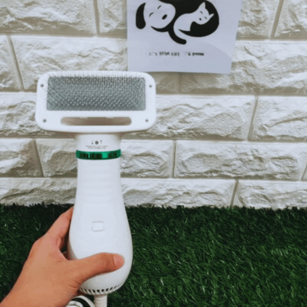 3 - In-1 Multifunctional Pet Comb - Hair Dryer Comb and Massager