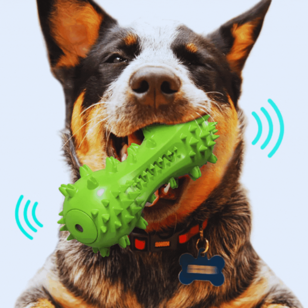 Sound - Activated Dog Toy - Spikes Chew Toy for Dogs