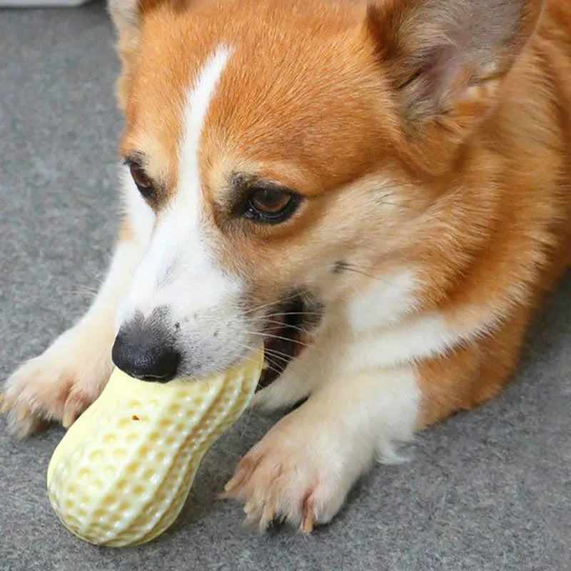 Peanut-shaped Dog Toy - Chew Toy With Sound Hole For Dogs