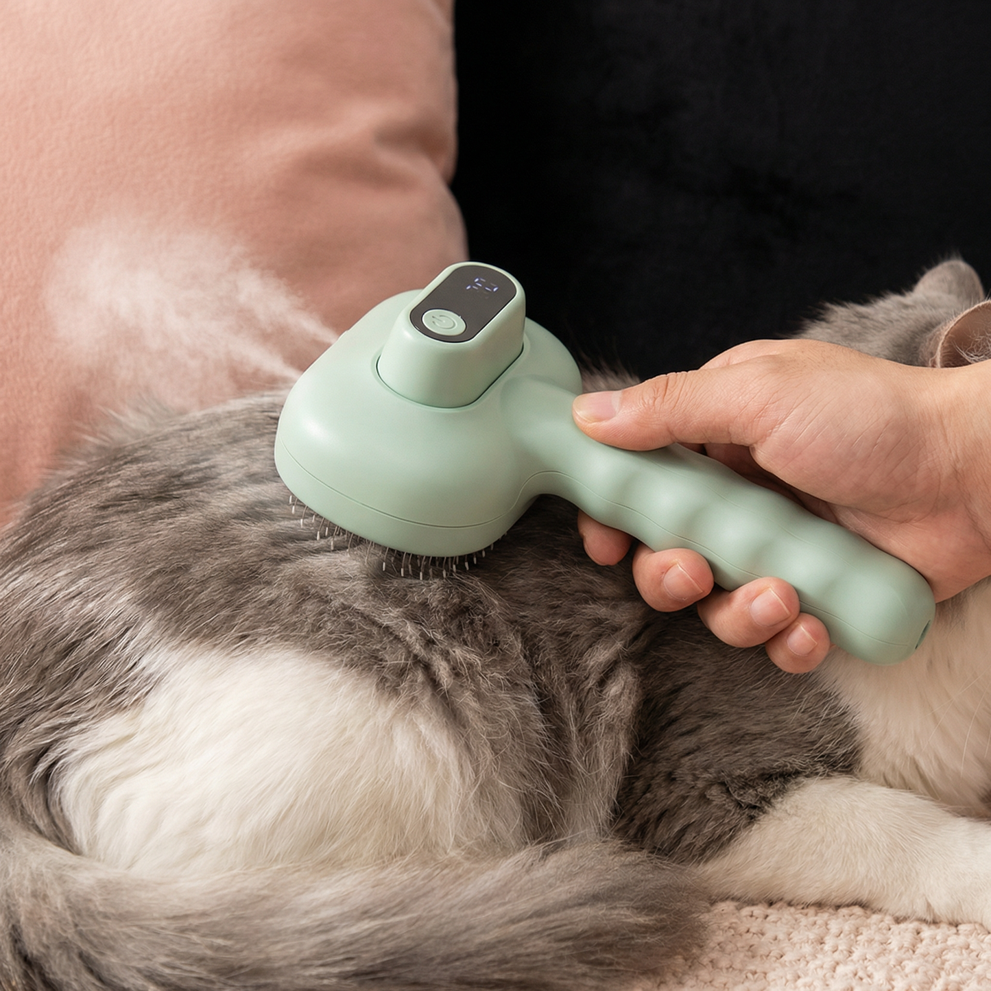 Premium pet brush with steam function
