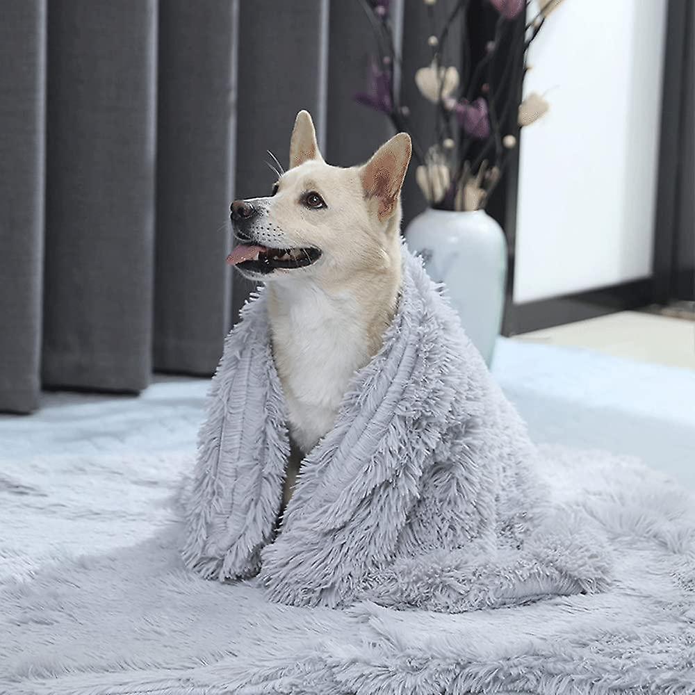 Dog Blanket