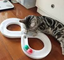 Interactive Cat Toy - Moving Ball Track In Infinity Design