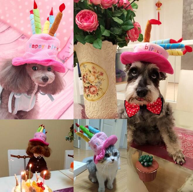 Party Hat for Dogs and Cats