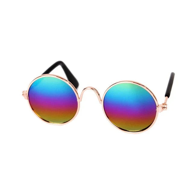 Fashionable Cat Glasses