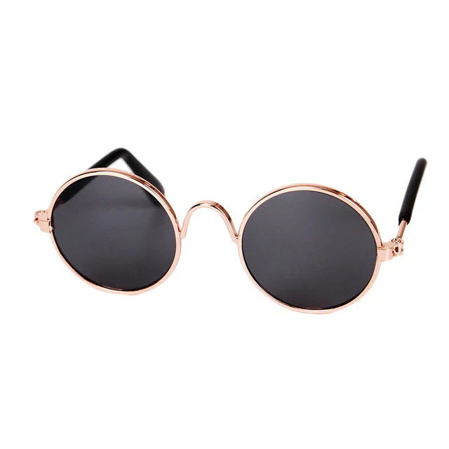 Fashionable Cat Glasses