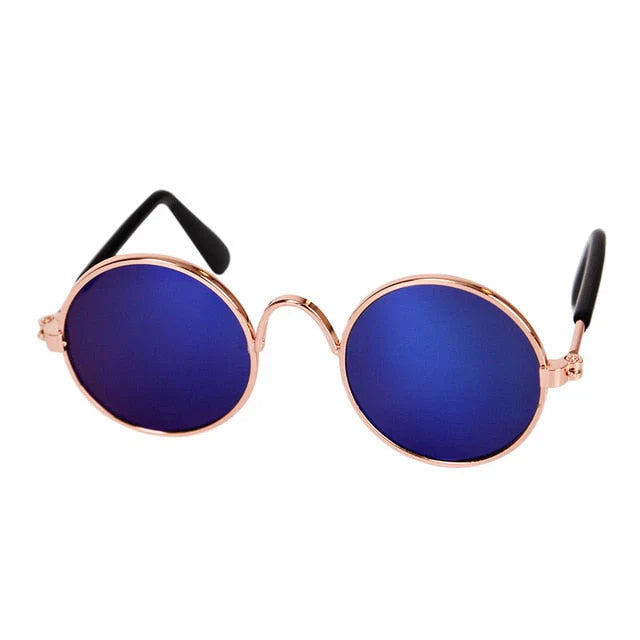 Fashionable Cat Glasses