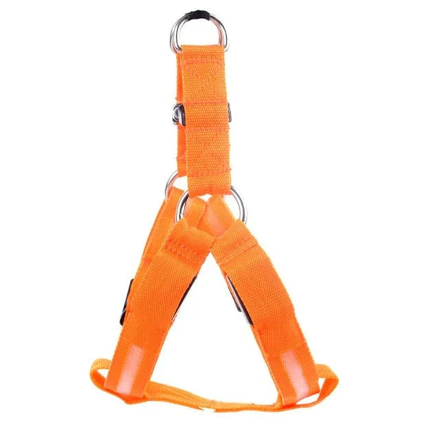 Dog Harness With Light Function