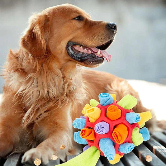 Snuffle Ball - Interactive Treat Toy