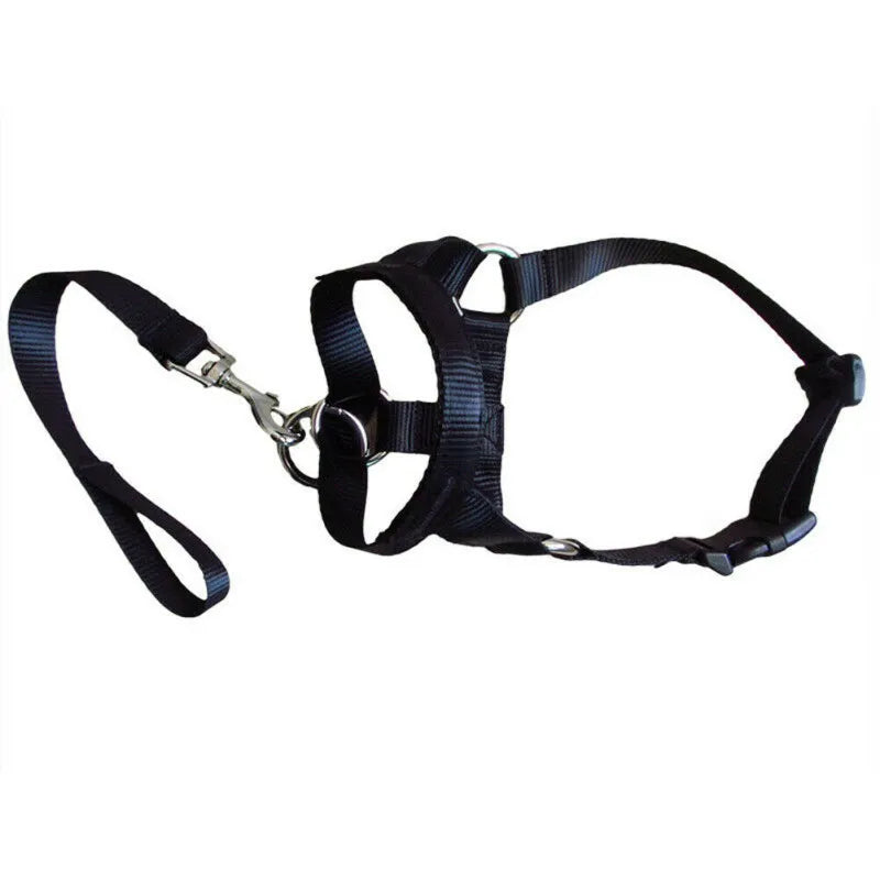 Adjustable Dog Harness With Lead - Comfortable Halter For Small And Medium-sized Dogs