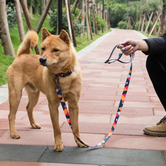 Colorful Dog Harness With Leash - Adjustable And Comfortable In Geometric Design