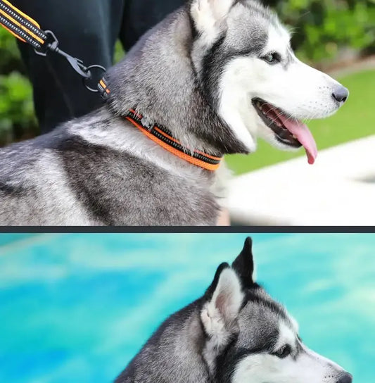Truelove Reflector Dog Collar - Breathable And Adjustable For Maximum Comfort