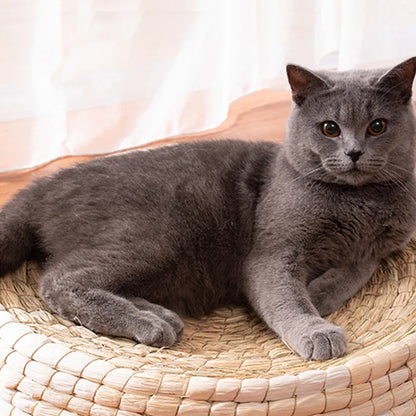Handmade Cat Nest - Soft Round Pet Bed Made From Natural Materials