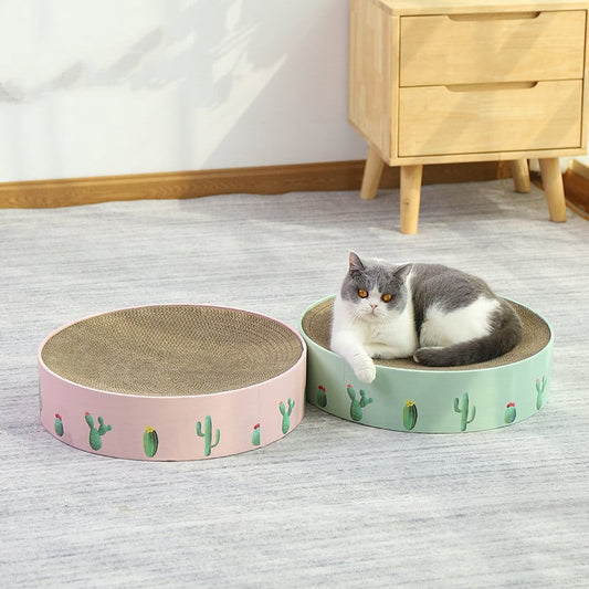 Cardboard Cat Bow With Cactus Design - Modern Style Scratching Board