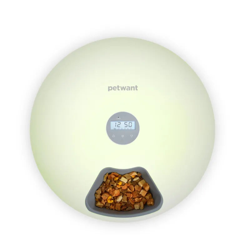 Automatic Pet Food Bowl - Digital Food Dispenser In Different Colours