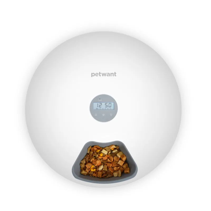 Automatic Pet Food Bowl - Digital Food Dispenser In Different Colours