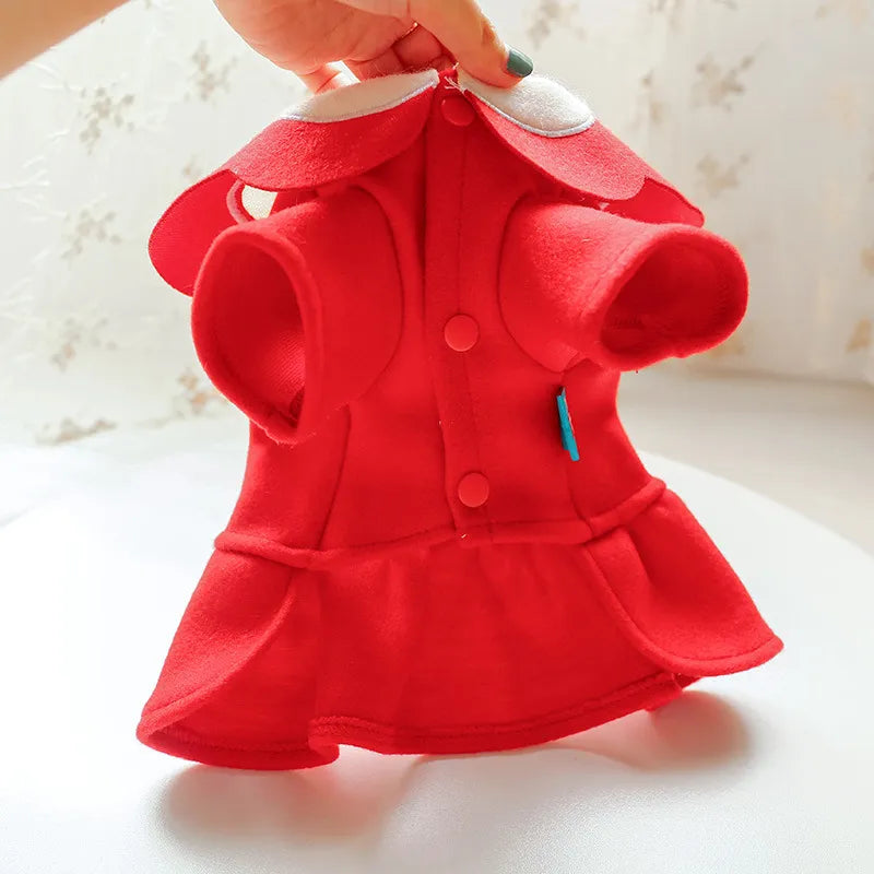 Dog Coat In Red With Elegant Collar Look - Soft And Comfortable For Small Dogs