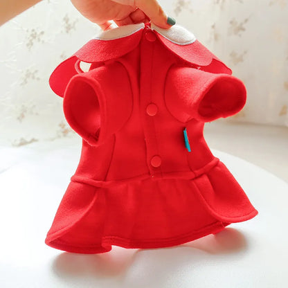 Dog Coat In Red With Elegant Collar Look - Soft And Comfortable For Small Dogs